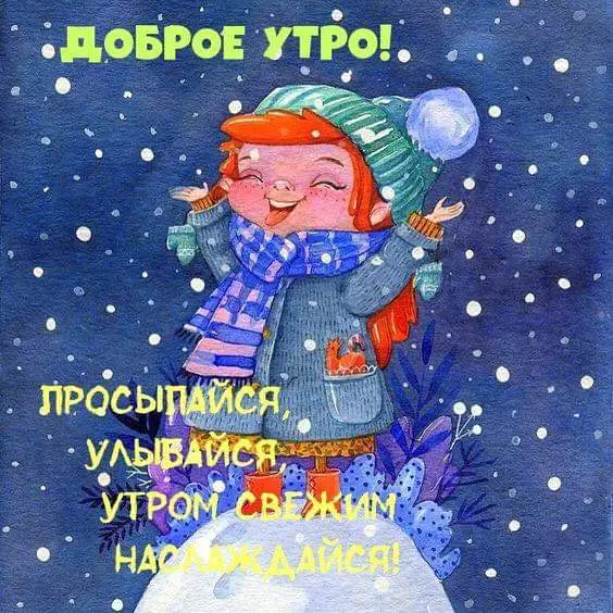 FB_IMG_1640243307088.webp