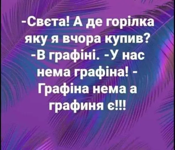 FB_IMG_1640291740538.webp
