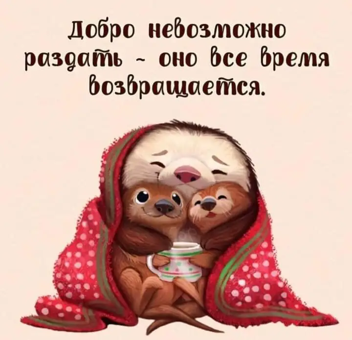 FB_IMG_1640340262238.webp