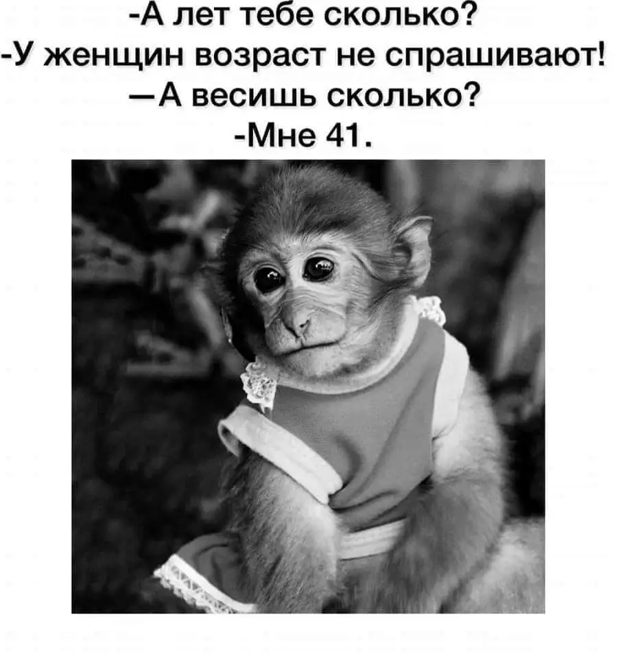 FB_IMG_1640465027625.webp