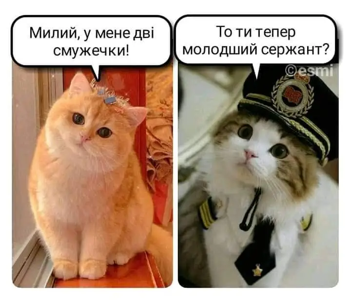 FB_IMG_1640506477544.webp