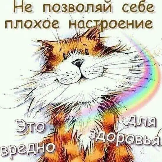 FB_IMG_1640520498169.webp