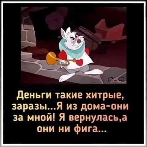 FB_IMG_1640588940643.webp
