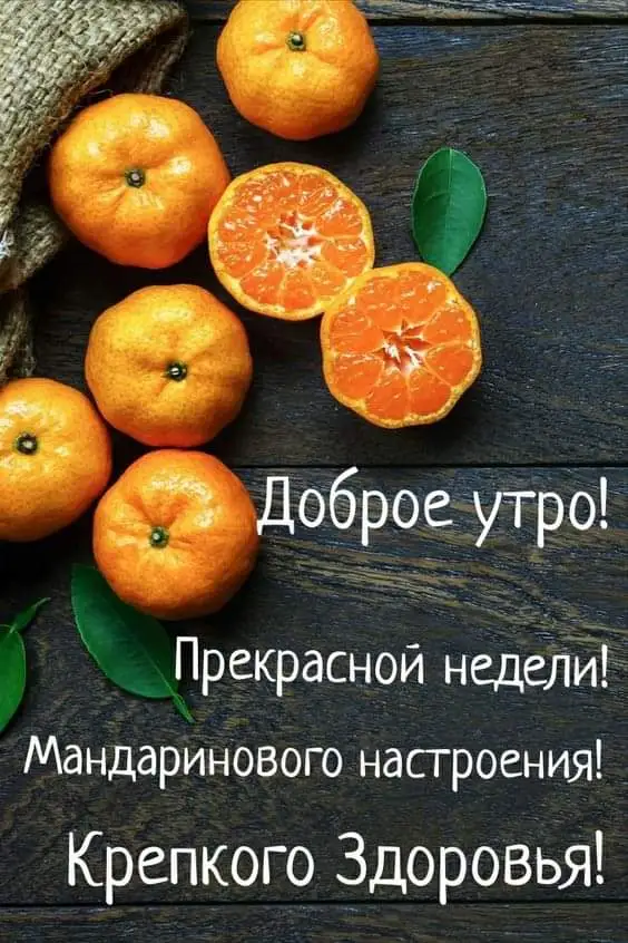 FB_IMG_1640633854441.webp