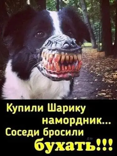 FB_IMG_1640705578975.webp