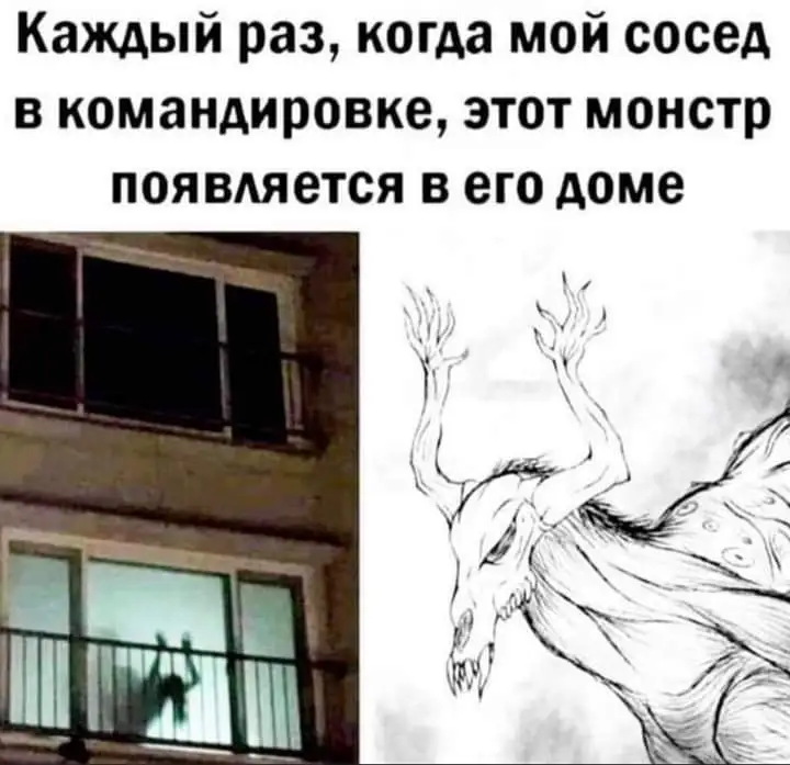FB_IMG_1640851902520.jpg