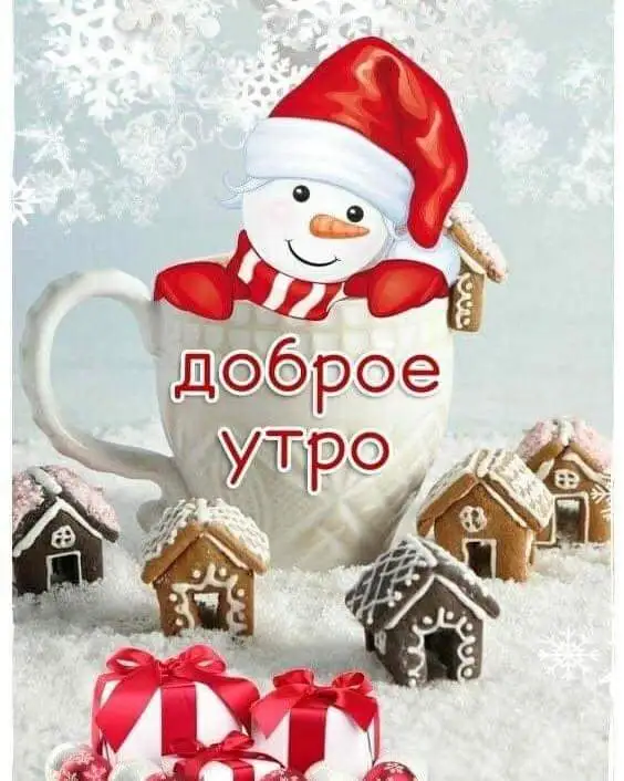 FB_IMG_1640857509466.webp