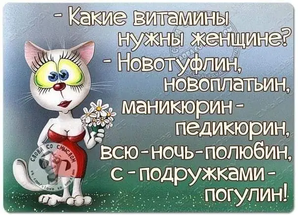 FB_IMG_1641019512499.webp
