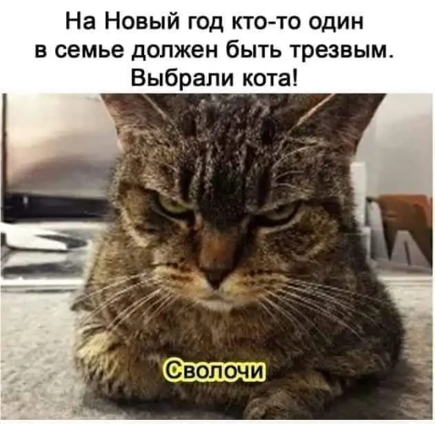 FB_IMG_1641046198004.webp