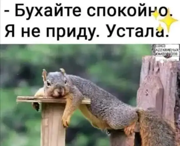 FB_IMG_1641053198210.webp