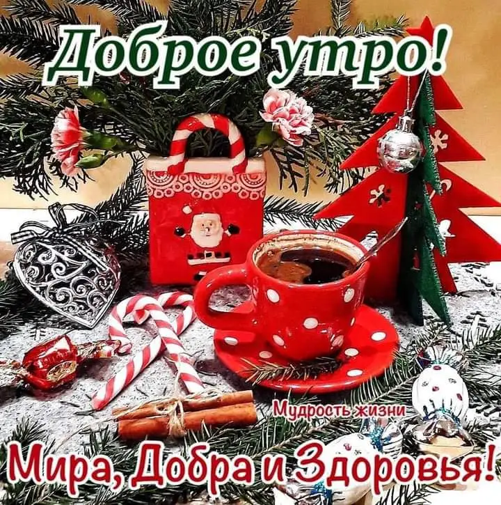FB_IMG_1641161489240.webp