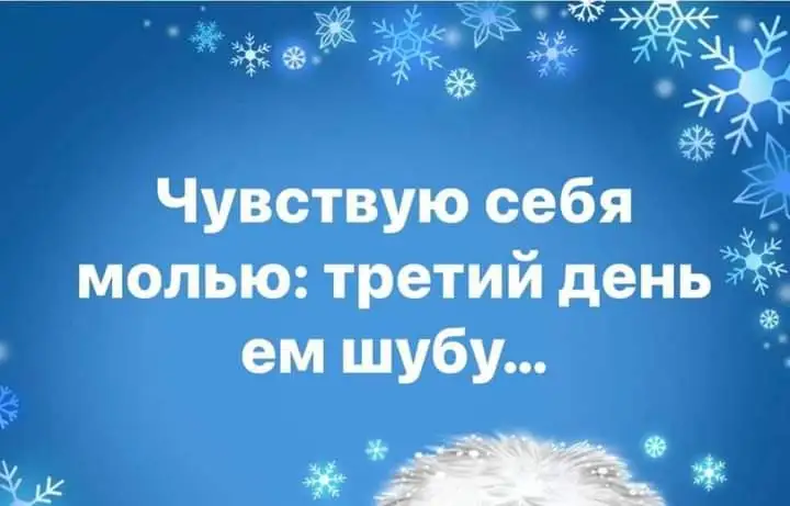 FB_IMG_1641231336076.webp