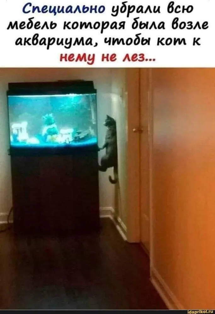 FB_IMG_1641291563649.webp