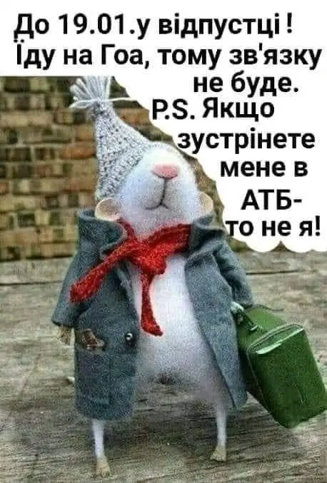 FB_IMG_1641406230055.webp