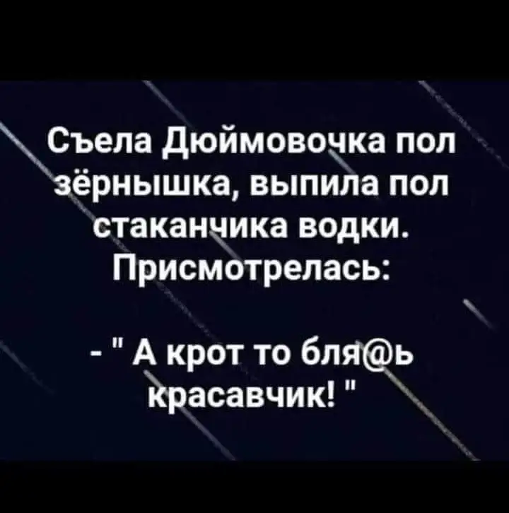 FB_IMG_1641504445131.webp