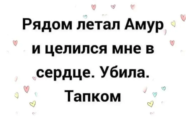 FB_IMG_1641750881132.webp