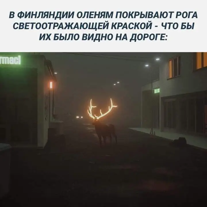 FB_IMG_1641756957236.webp