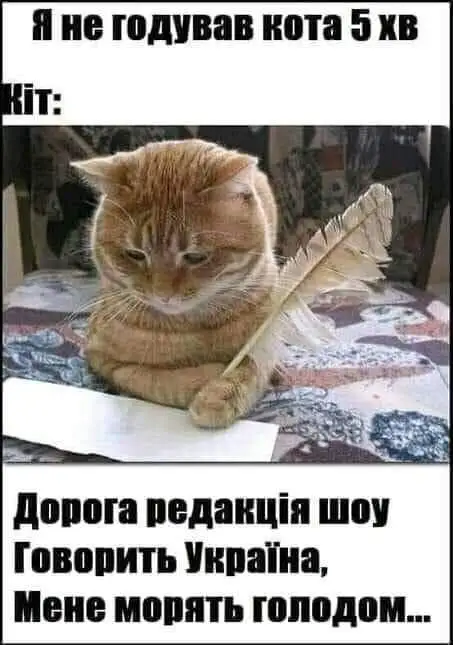 FB_IMG_1641756984696.webp