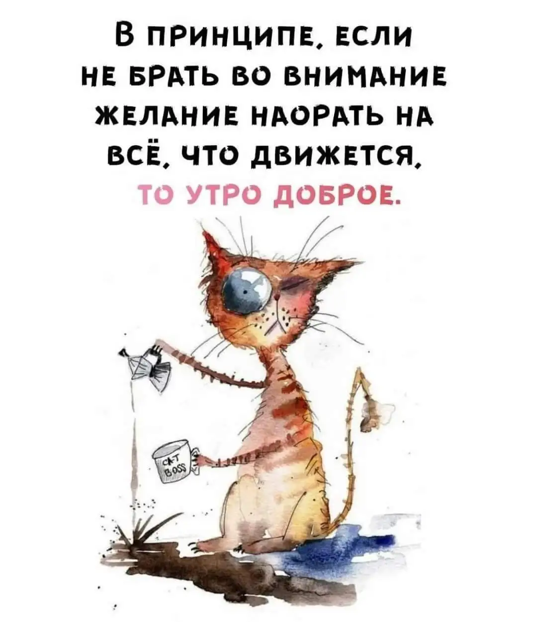 FB_IMG_1641803668673.webp