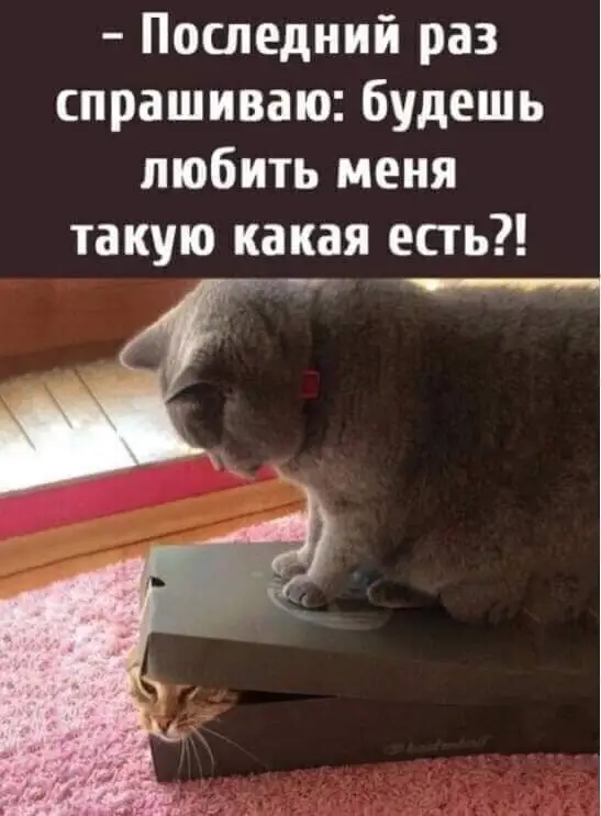 FB_IMG_1641820249423.webp