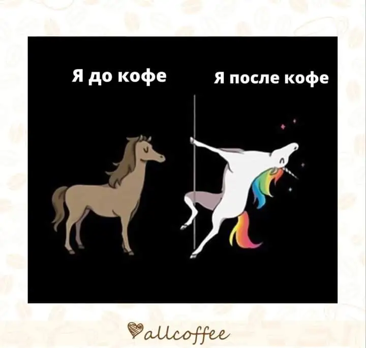 FB_IMG_1641905991271.jpg