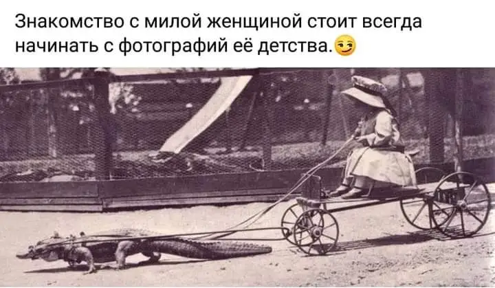 FB_IMG_1641940734519.webp