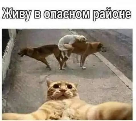 FB_IMG_1642065911251.webp