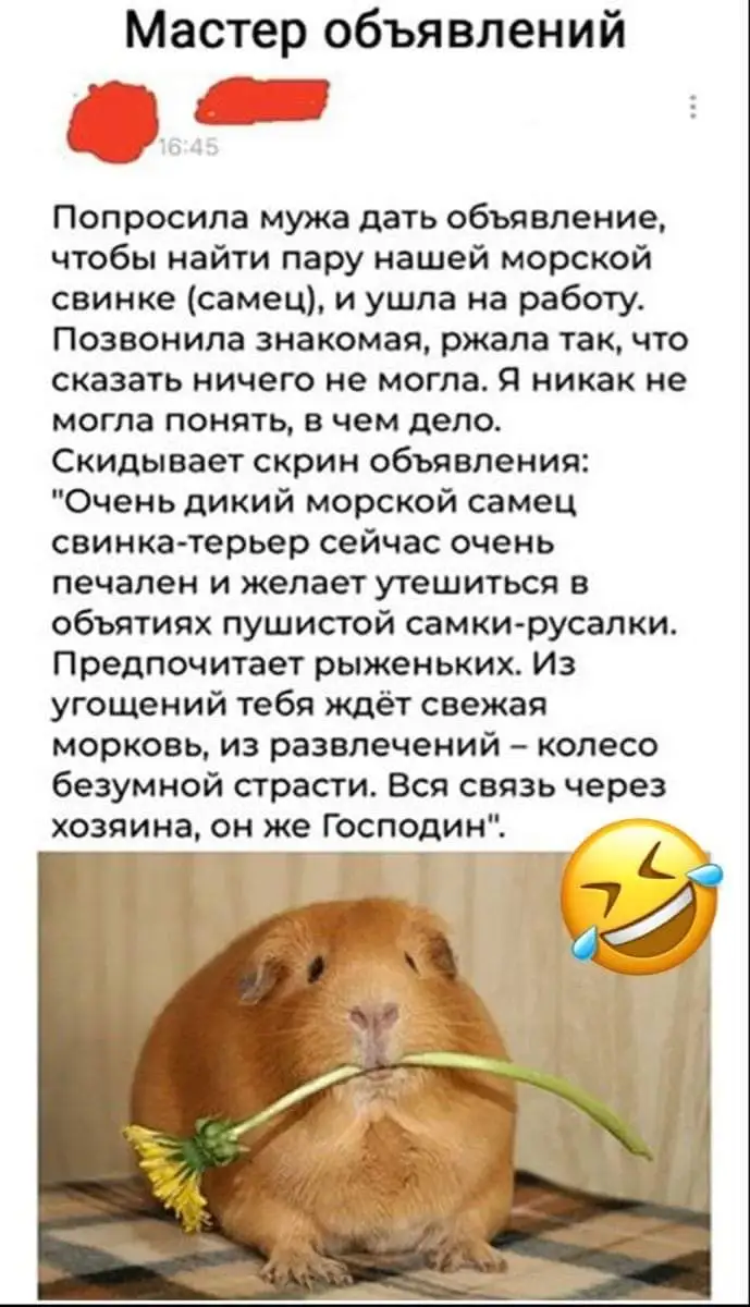 FB_IMG_1642197056895.webp