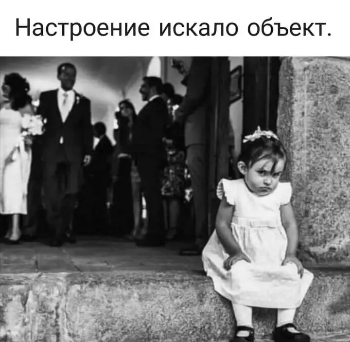 FB_IMG_1642239052582.webp