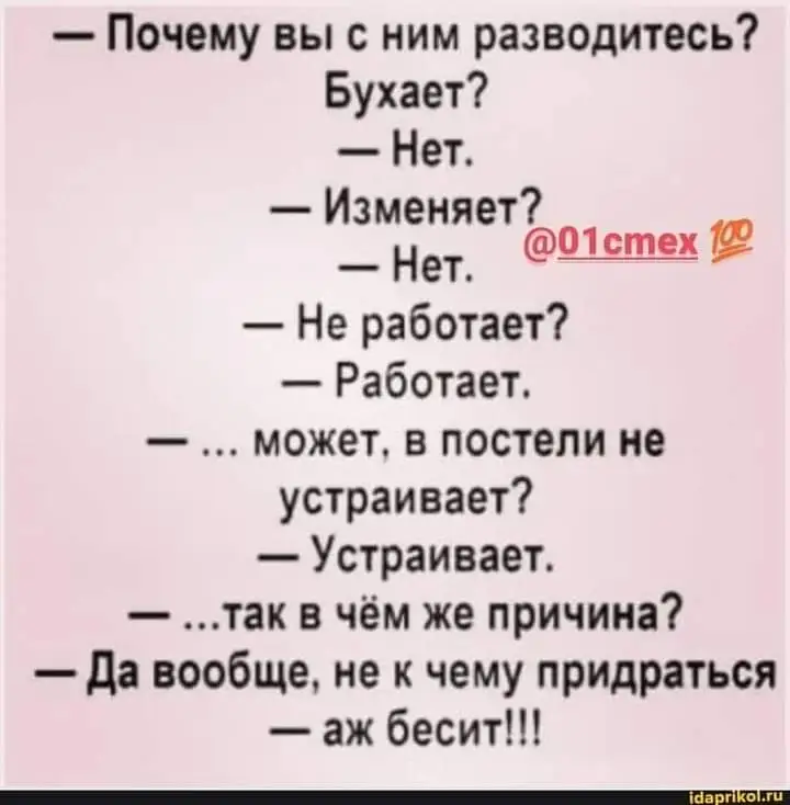 FB_IMG_1642244041148.webp