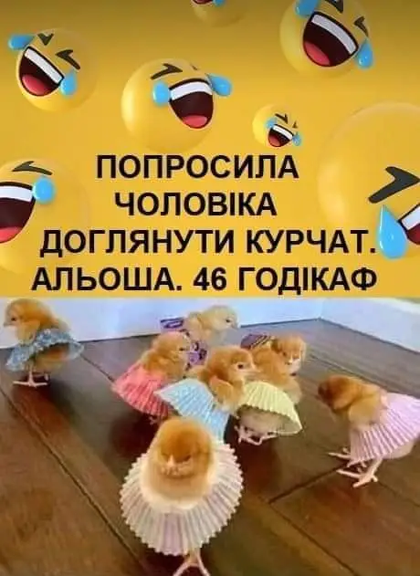 FB_IMG_1642273143122.webp