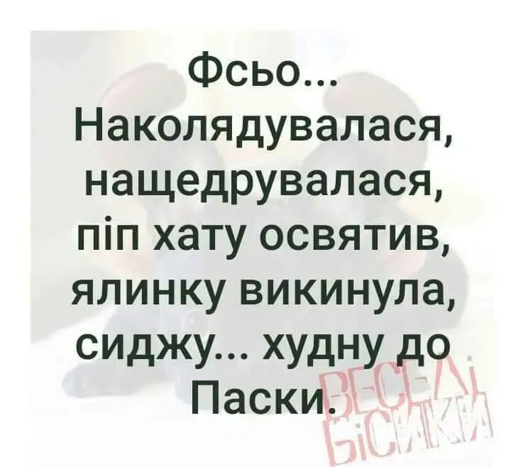 FB_IMG_1642279612311.webp