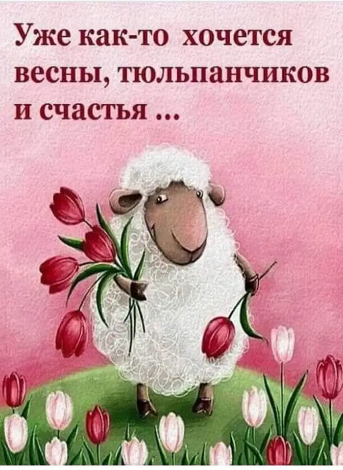 FB_IMG_1642333615510.webp