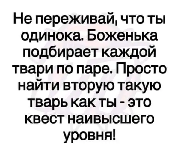 FB_IMG_1642351797925.webp
