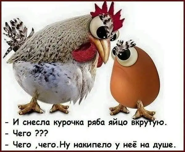 FB_IMG_1642485007090.webp