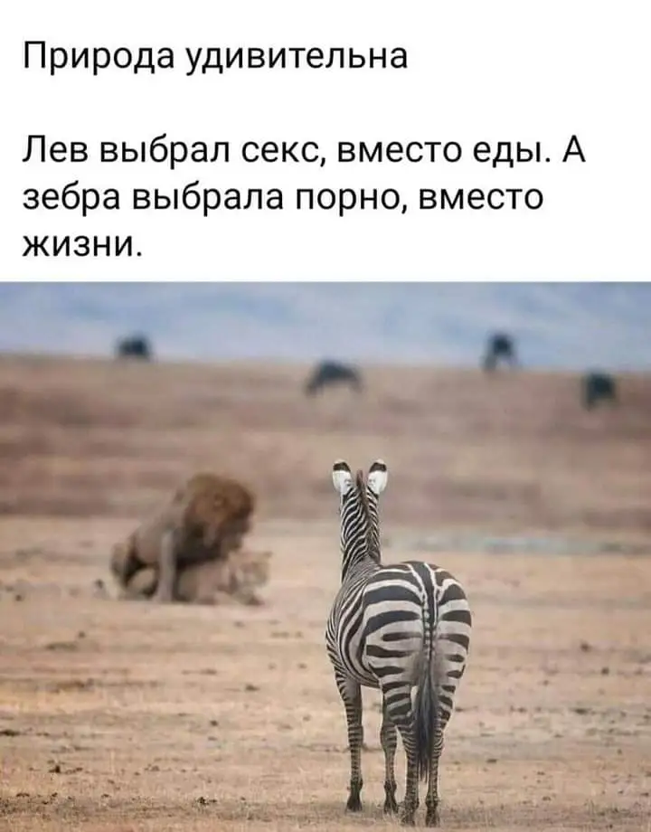 FB_IMG_1642618738638.webp