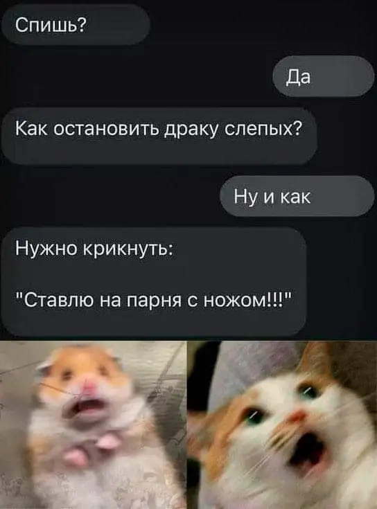 FB_IMG_1642686136083.webp