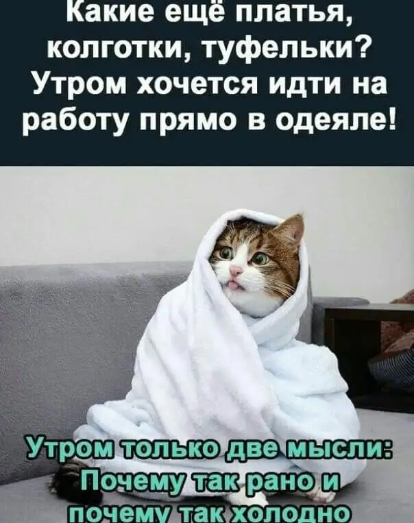 FB_IMG_1642686382827.webp