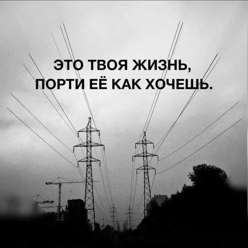 FB_IMG_1642713262333.webp