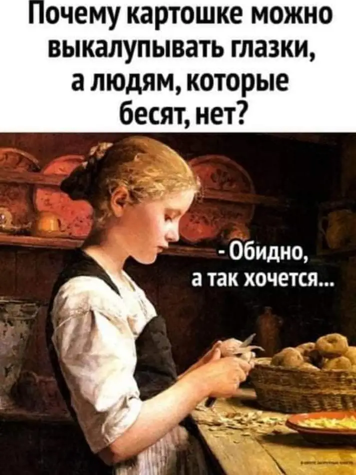 FB_IMG_1642872615212.webp