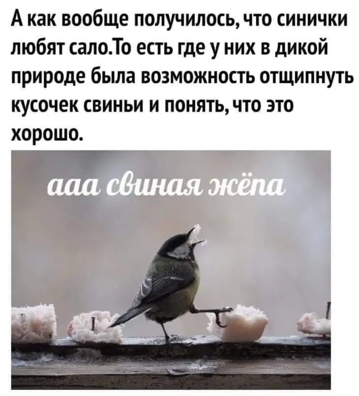 FB_IMG_1642965101663.jpg