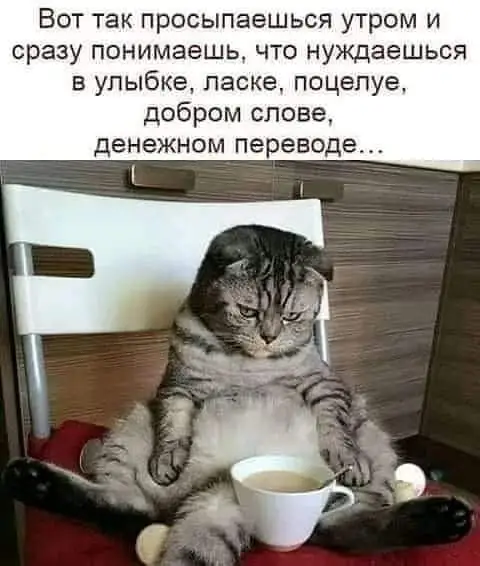 FB_IMG_1642965253136.webp