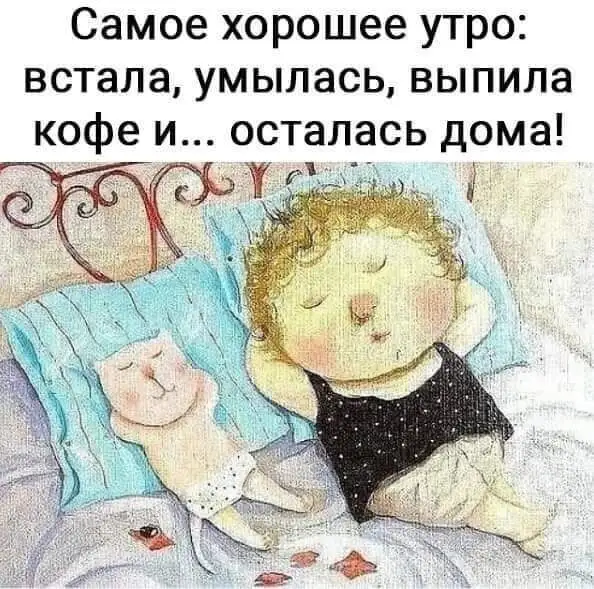 FB_IMG_1643009490238.webp