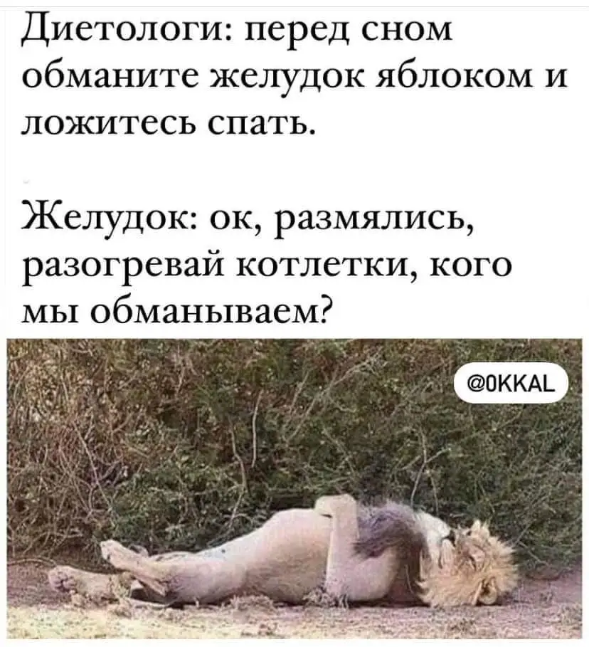 FB_IMG_1643011232296.webp