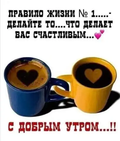 FB_IMG_1643033471174.webp