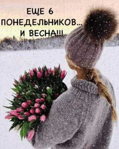FB_IMG_1643033478613.webp