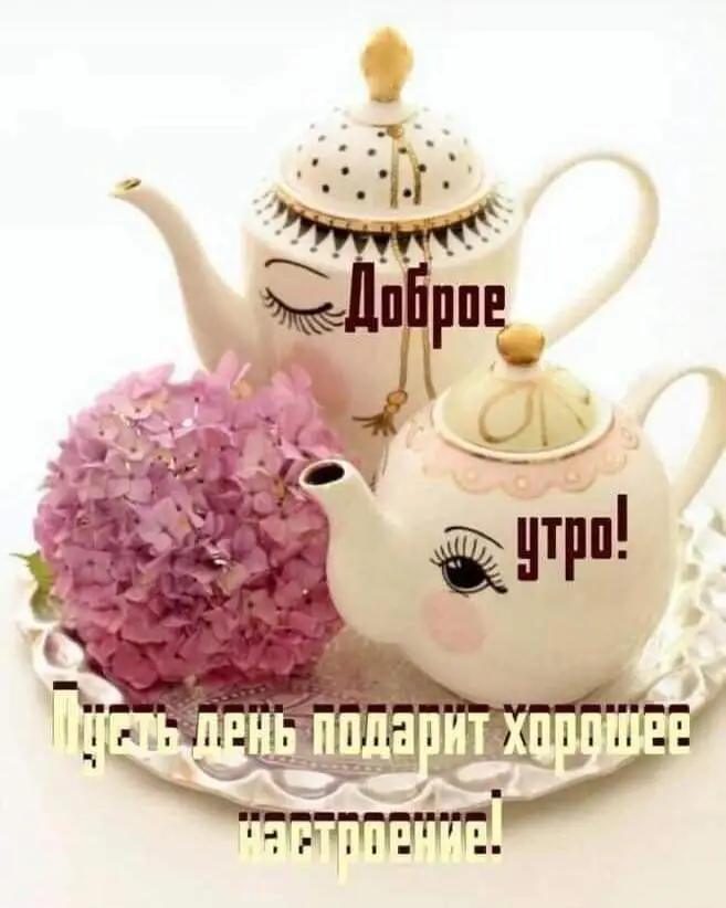 FB_IMG_1643091428598.webp