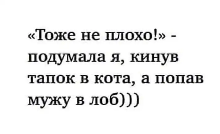 FB_IMG_1643114861276.webp