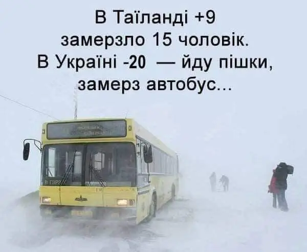 FB_IMG_1643136962388.webp