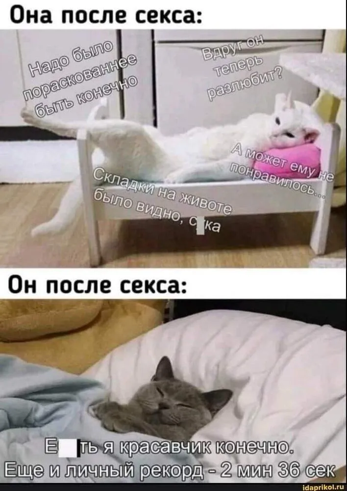 FB_IMG_1643187661950.webp